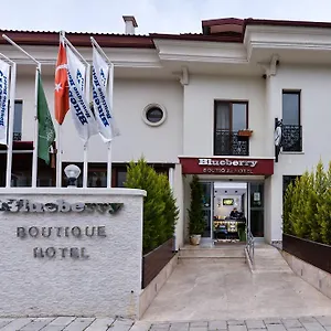 blueberry-boutique-hotel.turkeyfethiyehotels.com/