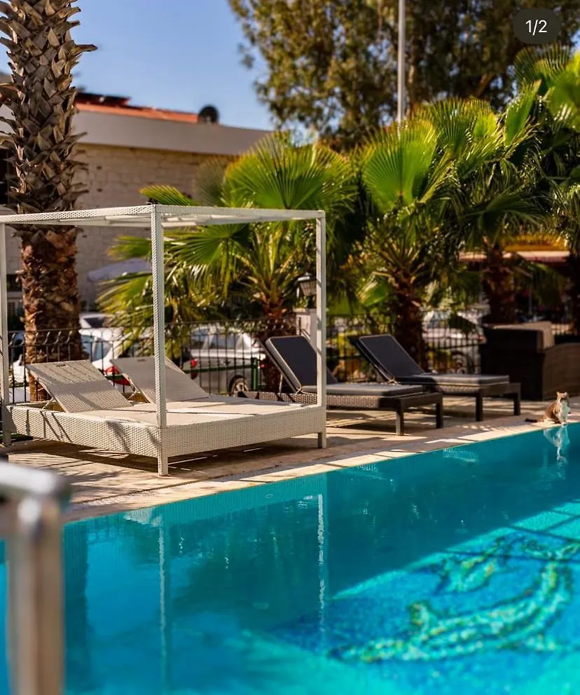 Aurasia Sea Side Hotel Marmaris